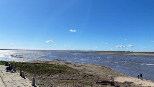 Por la bajante del Paraná, el Puerto de Santa Fe opera con barcazas y no con buques