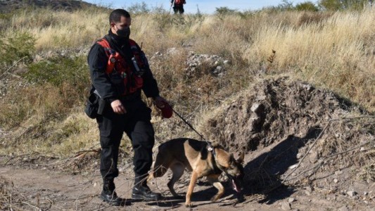 Nuevas líneas de investigación a 22 días de la desaparición de Guadalupe