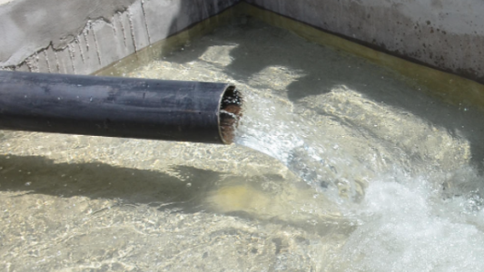 "Biofiltración": científicos rosarinos desarrollan un método para potabilizar el agua de perforaciones