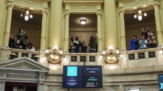 Media sanción al proyecto de ley que regula la producción industrial de cannabis