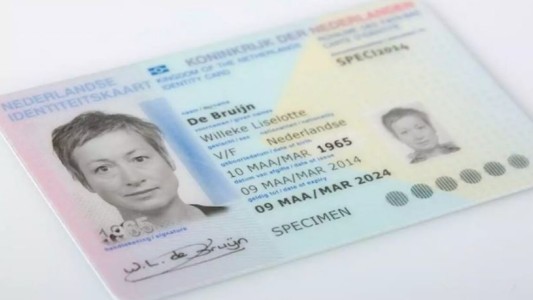 ¿En qué otros países existe el documento no binario?