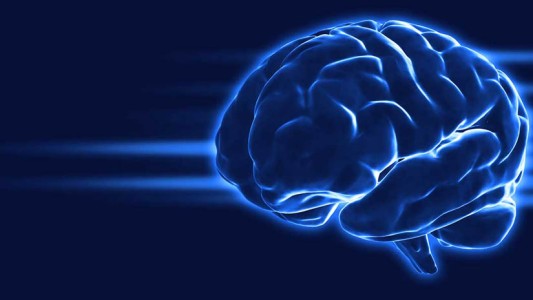 Día Mundial del Cerebro: la importancia de cuidarlo y ejercitarlo