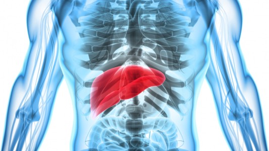 Día Mundial contra la Hepatitis: "Aunque se sientan saludables, pidan el test"