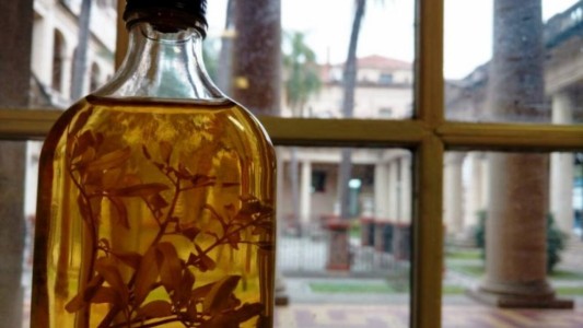 Caña con Ruda: se viene "el homenaje a la Pachamama"