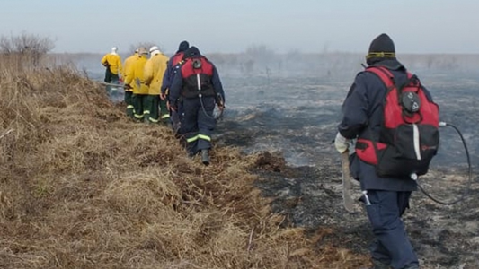 Habrá más brigadistas y lanchas para combatir incendios en el delta del Paraná