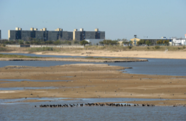 Bajante del río: el municipio se prepara ante emergencias en la Setúbal