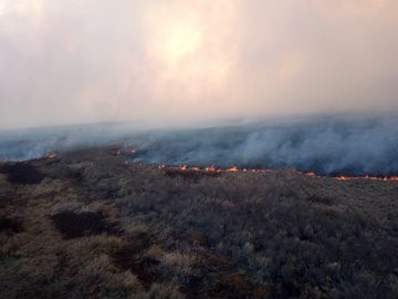 Alertan que la bajante del Paraná generó "mayor materia dispuesta a quemarse"