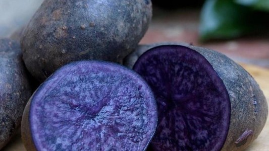 Papa azul: qué aporta y dónde se produce en Argentina