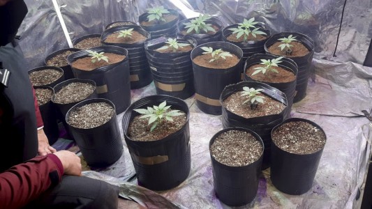 La Iglesia Católica criticó al Presidente por sus dichos sobre la legalización de la marihuana