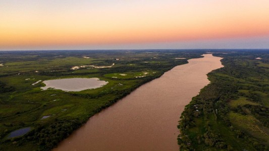 Inteligencia artificial y biodiversidad: Estudiarán por primera vez el microbioma del río Paraná