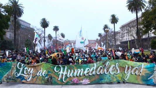 La Gran Marcha por los Humedales llegó a Capital Federal