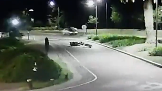 Continúa la guerra de los vecinos de Nordelta vs. Carpinchos: chocaron a un motociclista y huyeron