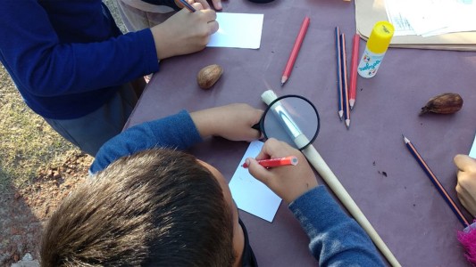 "Es una explosión de emociones": el nivel inicial vuelve a la presencialidad plena