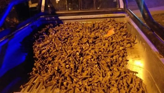 Robaban los tornillos de las vías de la Ruta 11: fueron detenidos