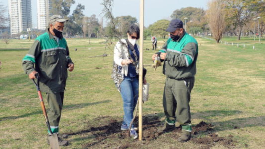 El municipio planta algarrobos en el Parque Federal