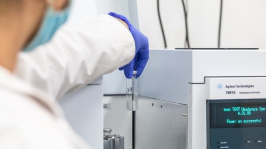 La UNL analiza muestras de cannabis medicinal “para que el uso sea seguro y eficiente”