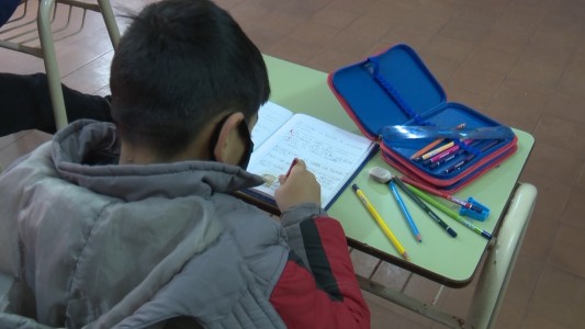 El decalogo de los pediatras: "La escolaridad presencial ocupa un lugar primordial en la salud del niño"