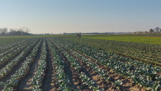 Santa Fe avanza en la implementación de buenas prácticas agrícolas