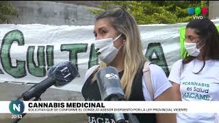 Cannabis Medicinal: solicitan la creación del Consejo Asesor
