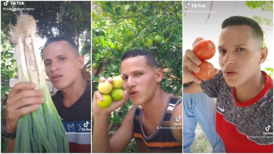 Video: conocé al tiktoker que se hizo viral cosechando en casa