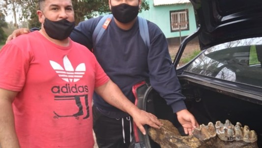 Estaban pescando y hallaron restos fósiles que datan de 10 mil años de antigüedad