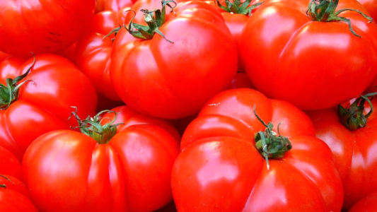 Hasta $220 el kilo: qué hay detrás del aumento explosivo del tomate