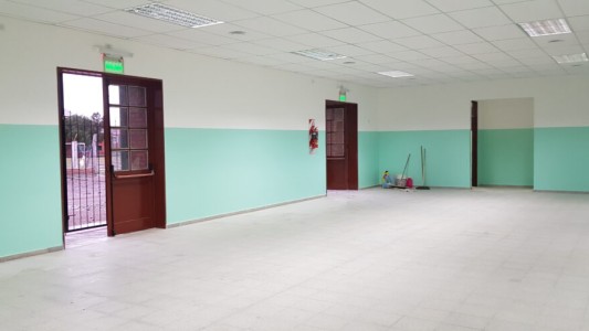 Entró a la escuela e insultó a todos: estaba alcoholizada y aseguraba ser fiscal de mesa