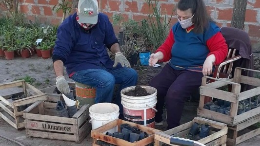 La llegada de la primavera, simbolizada en el vivero inclusivo de Santo Tomé