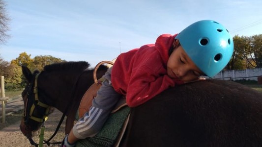 "Es más que dar una vuelta a caballo": piden que reglamenten la Ley de Equinoterapia