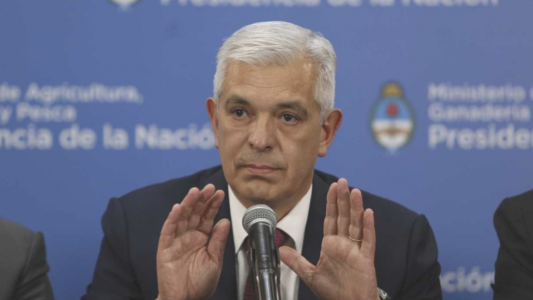 Domínguez: "La exportación de carne no podrá superar nunca el 24% de la producción"