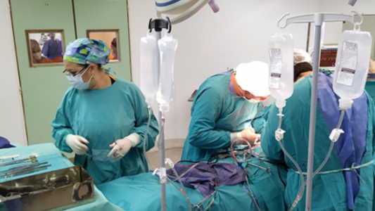 Santa Fe sigue siendo la segunda provincia con más donantes de órganos