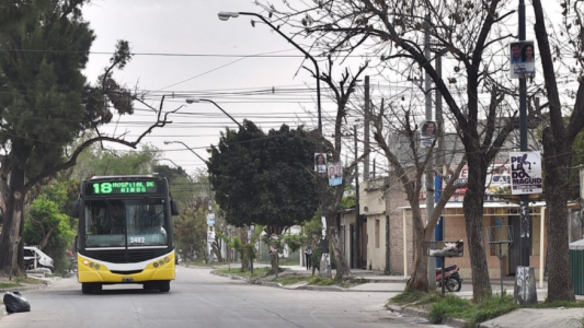 Prorrogan el acceso gratuito al transporte público a personas con discapacidad
