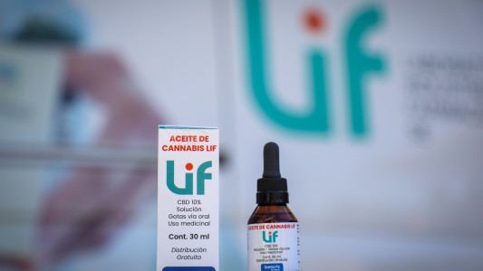 El ágil acceso al cannabis medicinal, un beneficio no solo para pacientes: también para las familias