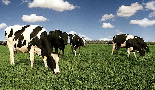 Nación y provincia fortalecen el vínculo con la cuenca láctea santafesina