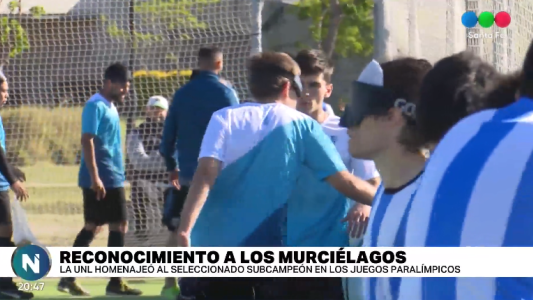 Los murciélagos fueron reconocidos por la Universidad Nacional del Litoral