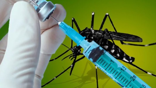 Vacuna contra el dengue: su eficacia y tiempo de protección