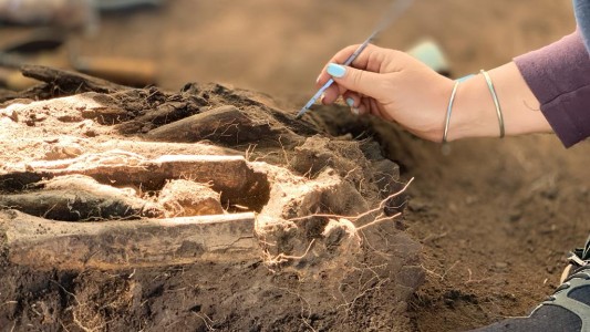 Nuevos hallazgos arqueológicos en Santo Tomé: restos óseos en las inmediaciones del Río Salado