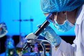 Alertan que se adelantó en diez años la resistencia bacteriana a los antibióticos