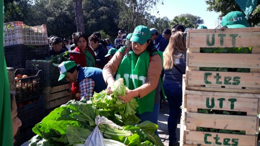 Comenzaron a regalar 1000 kilos de verdura en Plaza 25 de Mayo