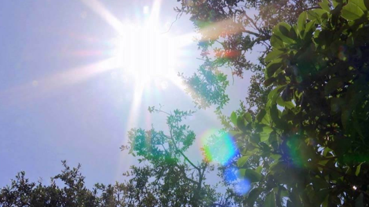 El tiempo en la ciudad: Para este viernes se espera otro día sofocante