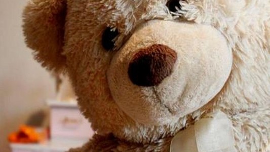 Apareció el oso que una nena santafesina buscaba intensamente