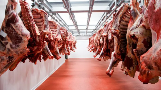 El precio de la carne vacuna bajó un 3% en los últimos 4 meses
