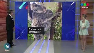 El abrazo más tierno