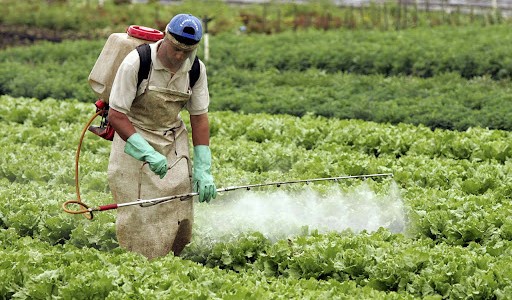 Realizan un "feriazo" en el Garrahan para exponer el impacto de los agrotóxicos