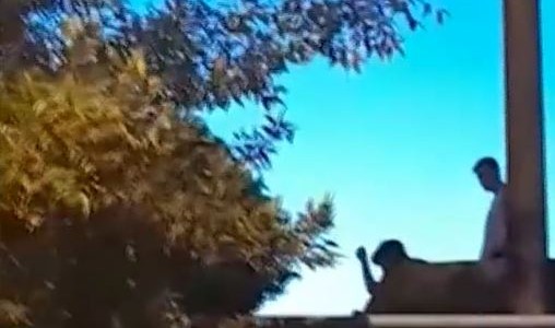 Detención ciudadana en Rosario: "¡Tenemos un chorro arriba de la terraza!"