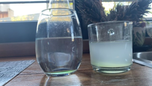 Piden al Enress reducción en la tarifa del agua a vecinos de barrio Candioti