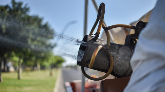 Los trabajos de bacheo, iluminación y fumigación previstos para este jueves