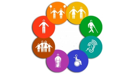 Día Internacional de los Derechos de las personas con Discapacidad: Los agentes públicos deberán recibir capacitación