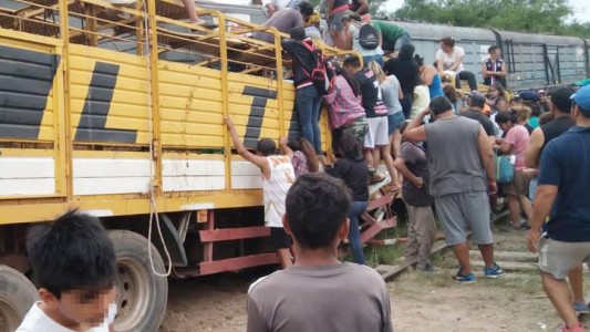 Video: un tren chocó con un tren que llevaba vacas y vecinos las faenaron en el lugar