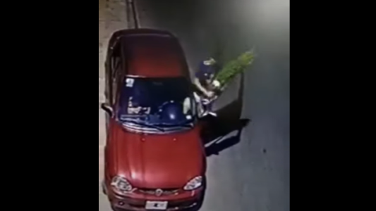 A vísperas de la Navidad, un hombre se robó un pino de un vivero